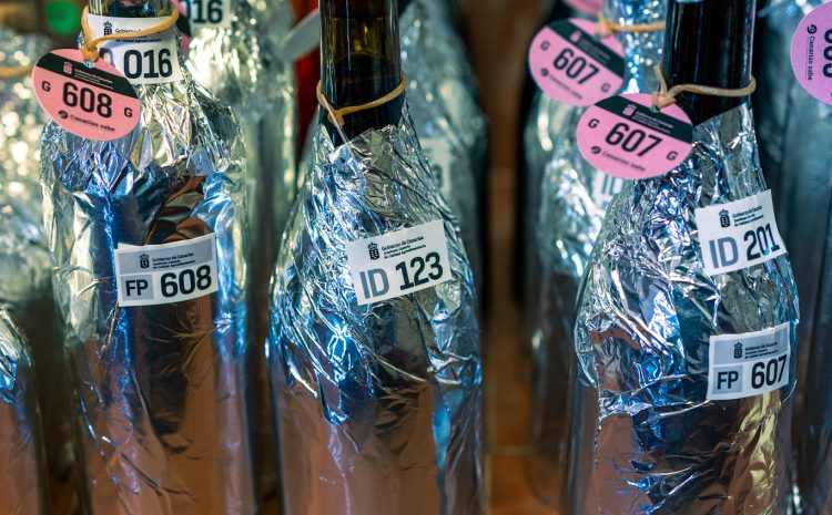 Agrocanarias_Vinos_TNF_Baja-01