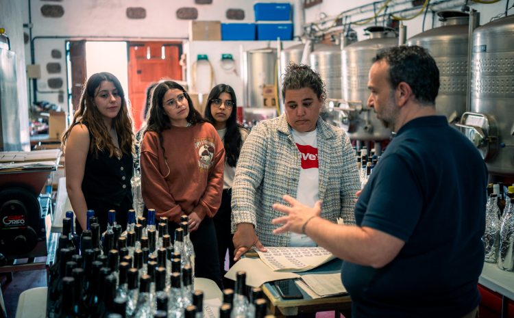 Agrocanarias_Vinos_TNF_Baja-09