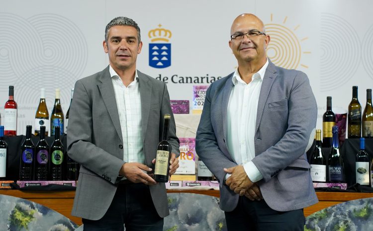CONCURSOVINOS13